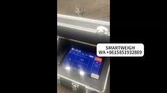 How to Use a Portable Axle Weight Scale?